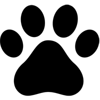 Dýrahald